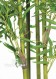 Bamboo Luxe Verde cm 240 UVR
