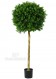 BOSSO SFERA Ø cm 55 h cm 110 UVR - BOXWOOD 3D BALL