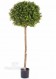 BOSSO SFERA Ø cm 55 h cm 140 UVR - BOXWOOD 3D BALL