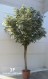 TRONCO NATURALE BUILD-UP h cm 400