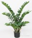 ZAMIOCULCAS H cm 90