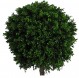 BOSSO SFERA Ø cm 55 h cm 110 UVR - BOXWOOD 3D BALL