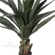 Agave h cm 96 Verde