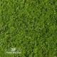 Giardino Verticale Mix Green 8 - cm 100 x 100