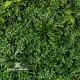 Giardino Verticale Mix Green 14 cm 100 x 100