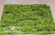 MUSCHIO ARTIFICIALE m. 1 X 1 (1315)