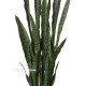 SANSEVERIA h cm 138 - GREEN