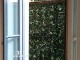 SIEPE ARTIFICIALE EDERA 100 X 100 UVR