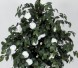 CAMELIA MEDIUM (42)