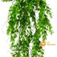 Euphorbia Peplus cm 80 - CADENTE UVR