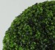 BOSSO SFERA - BOXWOOD UVR BALL