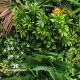 Giardino Verticale Full Eco-Greenwall