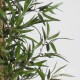 BAMBOO BIG TRUNKS UVR