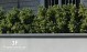 BOSSO - BOXWOOD BUSH U.V. RESISTANT 