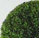 BOSSO SFERA - BOXWOOD UVR BALL 