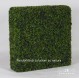 SIEPE ARTIFICIALE BOSSO - BOXWOOD UVR