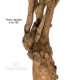 TRONCO NATURALE JAMAICA h cm 190