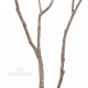 TRONCO NATURALE MANSANISI h cm 320