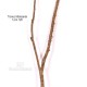 TRONCO NATURALE MANSANISI h cm 120