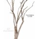 TRONCO NATURALE BUILD-UP h cm 400