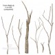 TRONCO NATURALE BUILD-UP h cm 400