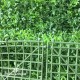 SIEPE BOSSO SMALL LEAVES