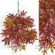 ACERO (54) ROSSO ALTO FUSTO tronco Mansanisi