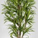 TRONCO NATURALE MANSANISI h cm 170