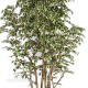 TRONCO NATURALE MANSANISI h cm 270