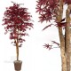 TRONCO NATURALE MANSANISI h cm 220