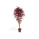 Acero Rosso Lux