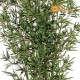 BAMBOO BOSCO SMALL UVR