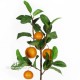 Arancia cm 91 - 4 frutti x 27 foglie - RAMO
