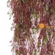 SPRUCE SPRAY RED UVR -  Cadente