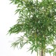 Bamboo Luxe Verde cm 120 UVR