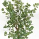 Ficus Triangularis Luxe cm 150 Verde
