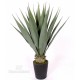 AGAVE VERDE cm 104 UVR