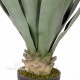 AGAVE VERDE cm 104 UVR