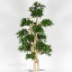 TRONCO NATURALE JAPAN h cm 120