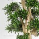 TRONCO NATURALE JAPAN h cm 120