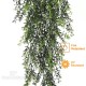 Boxwood cm 76 UVR - FR - Cadente