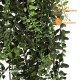 Felce Boston cm 90 UVR - FR - Cadente