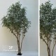 TRONCO NATURALE MANSANISI h cm 470