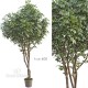 TRONCO NATURALE MANSANISI h cm 400
