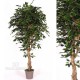 TRONCO NATURALE MEDITERRANEO h cm 180