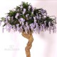 GLICINE WISTERIA MAJESTIC