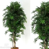 ACERO (54)-piante artificiali per interni - Acero