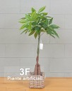 Aralia cm 95-piante artificiali araglia