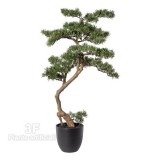Bonsai Pine 40 x 40-Bonsai artificiale, Pino