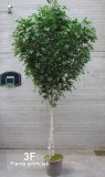 BETULLA MEDIUM (42) - ALTO FUSTO-alberi artificiali betulla